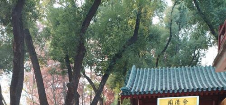 南宁品茶好去处？听过来人分享如何找到服务好又清净的茶馆